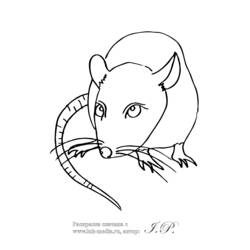 Dibujo para colorear: Rata (Animales) #15264 - Dibujos para Colorear e Imprimir Gratis