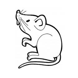 Dibujo para colorear: Ratón (Animales) #13937 - Dibujos para Colorear e Imprimir Gratis