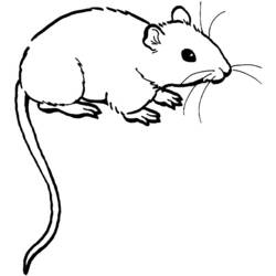 Dibujo para colorear: Ratón (Animales) #13941 - Dibujos para Colorear e Imprimir Gratis