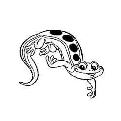 Dibujo para colorear: Salamandra (Animales) #19891 - Dibujos para Colorear e Imprimir Gratis