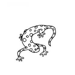 Dibujo para colorear: Salamandra (Animales) #19905 - Dibujos para Colorear e Imprimir Gratis