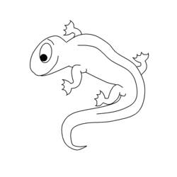 Dibujo para colorear: Salamandra (Animales) #19906 - Dibujos para Colorear e Imprimir Gratis