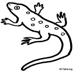 Dibujo para colorear: Salamandra (Animales) #19911 - Dibujos para Colorear e Imprimir Gratis