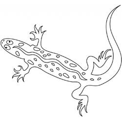 Dibujo para colorear: Salamandra (Animales) #19930 - Dibujos para Colorear e Imprimir Gratis