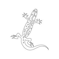 Dibujo para colorear: Salamandra (Animales) #19946 - Dibujos para Colorear e Imprimir Gratis