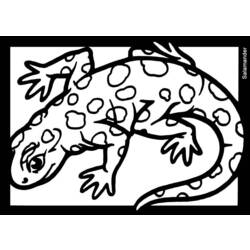 Dibujo para colorear: Salamandra (Animales) #19952 - Dibujos para Colorear e Imprimir Gratis