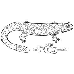 Dibujo para colorear: Salamandra (Animales) #19956 - Dibujos para Colorear e Imprimir Gratis