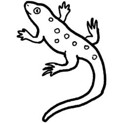 Dibujo para colorear: Salamandra (Animales) #19975 - Dibujos para Colorear e Imprimir Gratis