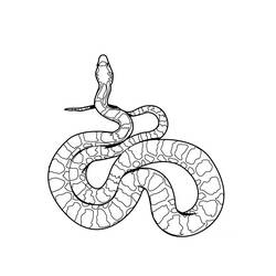 Dibujo para colorear: Serpiente (Animales) #14337 - Dibujos para Colorear e Imprimir Gratis