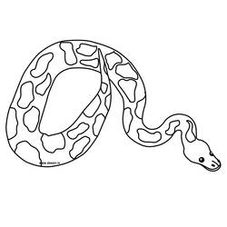 Dibujo para colorear: Serpiente (Animales) #14352 - Dibujos para Colorear e Imprimir Gratis