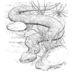 Dibujo para colorear: Serpiente (Animales) #14355 - Dibujos para Colorear e Imprimir Gratis