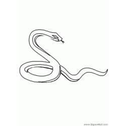 Dibujo para colorear: Serpiente (Animales) #14365 - Dibujos para Colorear e Imprimir Gratis