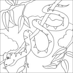 Dibujo para colorear: Serpiente (Animales) #14405 - Dibujos para Colorear e Imprimir Gratis