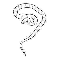Dibujo para colorear: Serpiente (Animales) #14410 - Dibujos para Colorear e Imprimir Gratis