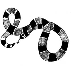 Dibujo para colorear: Serpiente (Animales) #14426 - Dibujos para Colorear e Imprimir Gratis