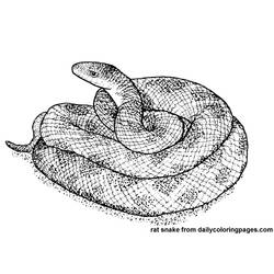 Dibujo para colorear: Serpiente (Animales) #14428 - Dibujos para Colorear e Imprimir Gratis