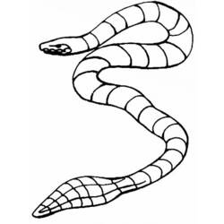 Dibujo para colorear: Serpiente (Animales) #14512 - Dibujos para Colorear e Imprimir Gratis