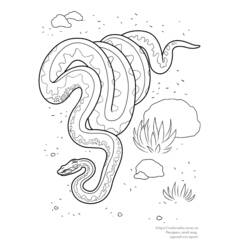 Dibujo para colorear: Serpiente (Animales) #14529 - Dibujos para Colorear e Imprimir Gratis