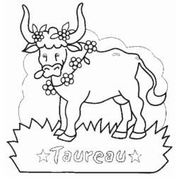 Dibujo para colorear: Tauro (Animales) #13839 - Dibujos para Colorear e Imprimir Gratis