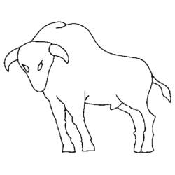 Dibujo para colorear: Tauro (Animales) #13910 - Dibujos para Colorear e Imprimir Gratis