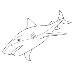 Dibujo para colorear: Tiburón (Animales) #14764 - Dibujos para Colorear e Imprimir Gratis