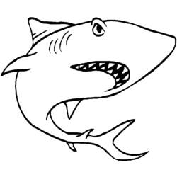 Dibujo para colorear: Tiburón (Animales) #14767 - Dibujos para Colorear e Imprimir Gratis