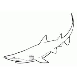 Dibujo para colorear: Tiburón (Animales) #14770 - Dibujos para Colorear e Imprimir Gratis