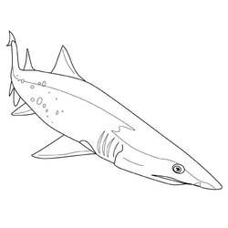 Dibujo para colorear: Tiburón (Animales) #14771 - Dibujos para Colorear e Imprimir Gratis