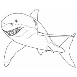 Dibujo para colorear: Tiburón (Animales) #14780 - Dibujos para Colorear e Imprimir Gratis