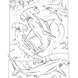 Dibujo para colorear: Tiburón (Animales) #14784 - Dibujos para Colorear e Imprimir Gratis