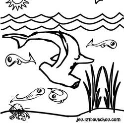 Dibujo para colorear: Tiburón (Animales) #14788 - Dibujos para Colorear e Imprimir Gratis