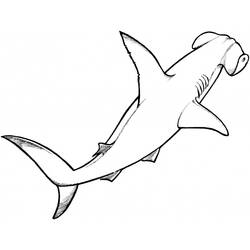 Dibujo para colorear: Tiburón (Animales) #14798 - Dibujos para Colorear e Imprimir Gratis