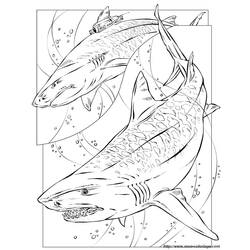 Dibujo para colorear: Tiburón (Animales) #14799 - Dibujos para Colorear e Imprimir Gratis