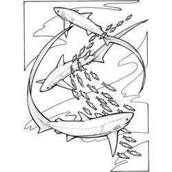 Dibujo para colorear: Tiburón (Animales) #14801 - Dibujos para Colorear e Imprimir Gratis