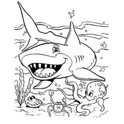 Dibujo para colorear: Tiburón (Animales) #14802 - Dibujos para Colorear e Imprimir Gratis