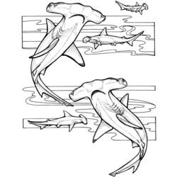Dibujo para colorear: Tiburón (Animales) #14805 - Dibujos para Colorear e Imprimir Gratis