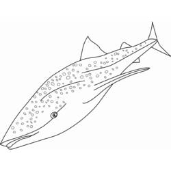 Dibujo para colorear: Tiburón (Animales) #14808 - Dibujos para Colorear e Imprimir Gratis