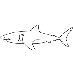Dibujo para colorear: Tiburón (Animales) #14809 - Dibujos para Colorear e Imprimir Gratis