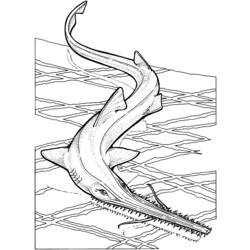 Dibujo para colorear: Tiburón (Animales) #14819 - Dibujos para Colorear e Imprimir Gratis