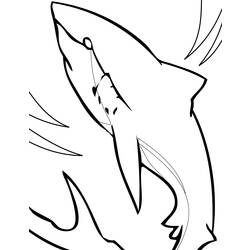 Dibujo para colorear: Tiburón (Animales) #14822 - Dibujos para Colorear e Imprimir Gratis