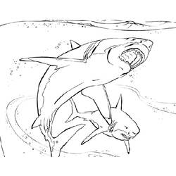 Dibujo para colorear: Tiburón (Animales) #14827 - Dibujos para Colorear e Imprimir Gratis