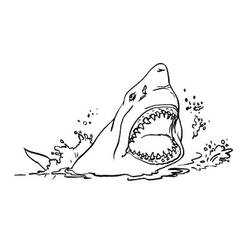 Dibujo para colorear: Tiburón (Animales) #14835 - Dibujos para Colorear e Imprimir Gratis