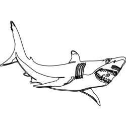 Dibujo para colorear: Tiburón (Animales) #14837 - Dibujos para Colorear e Imprimir Gratis