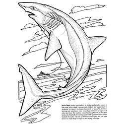 Dibujo para colorear: Tiburón (Animales) #14839 - Dibujos para Colorear e Imprimir Gratis