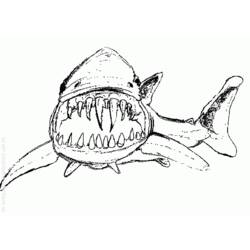 Dibujo para colorear: Tiburón (Animales) #14857 - Dibujos para Colorear e Imprimir Gratis