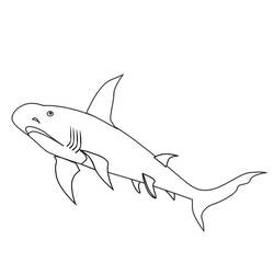 Dibujo para colorear: Tiburón (Animales) #14882 - Dibujos para Colorear e Imprimir Gratis