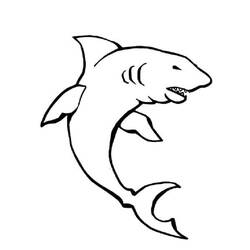 Dibujo para colorear: Tiburón (Animales) #14890 - Dibujos para Colorear e Imprimir Gratis