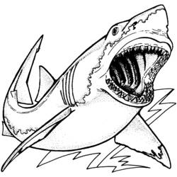 Dibujo para colorear: Tiburón (Animales) #14896 - Dibujos para Colorear e Imprimir Gratis