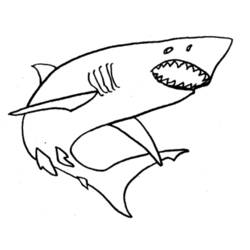 Dibujo para colorear: Tiburón (Animales) #14911 - Dibujos para Colorear e Imprimir Gratis