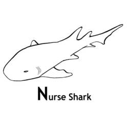 Dibujo para colorear: Tiburón (Animales) #14914 - Dibujos para Colorear e Imprimir Gratis